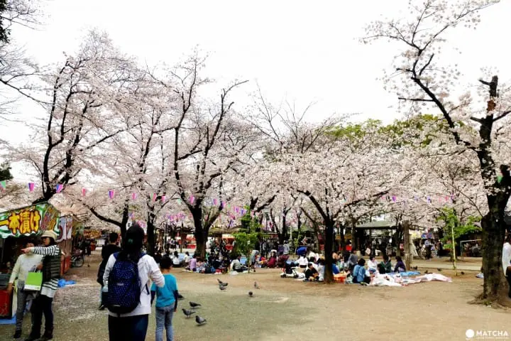 川越喜多院春祭典