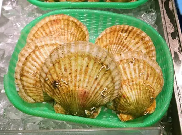 親子遊！玩盡北海道—「玩」在道北