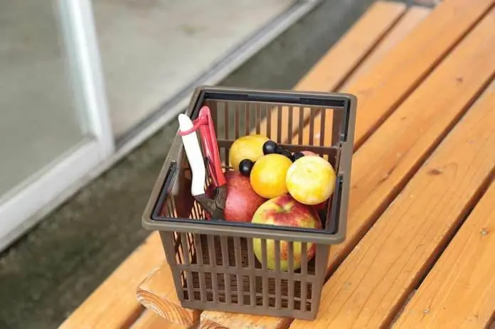 親子遊！玩盡北海道—「玩」在道北