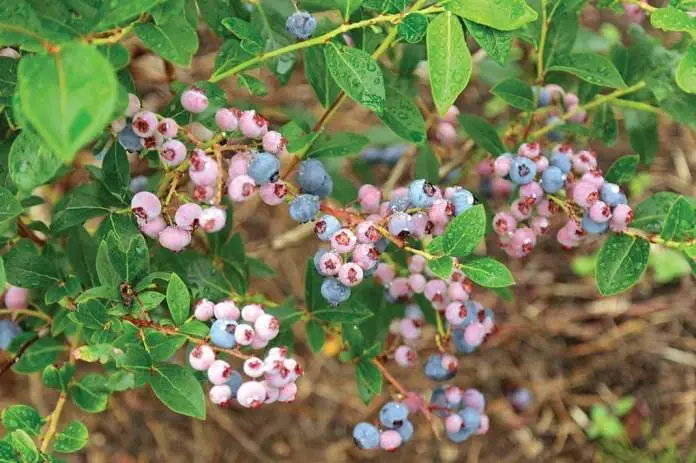 親子遊！玩盡北海道—「玩」在道北