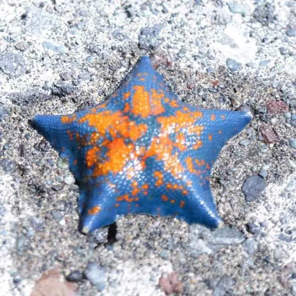 親子遊！玩盡北海道—「玩」在道北