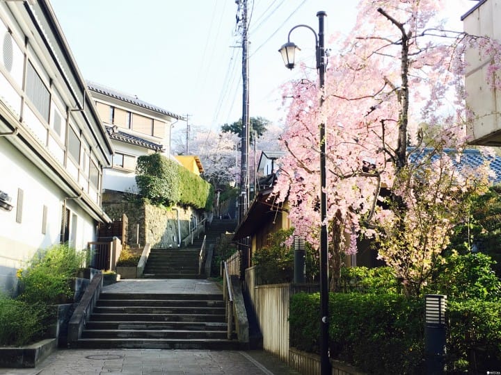 春烂漫!福井县赏樱景点8选