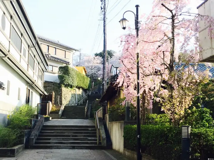 春爛漫！福井縣賞櫻景點８選