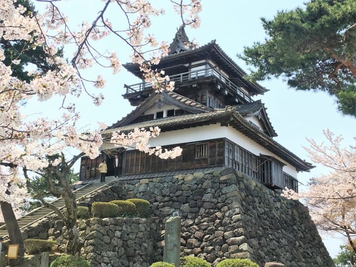 春烂漫!福井县赏樱景点8选