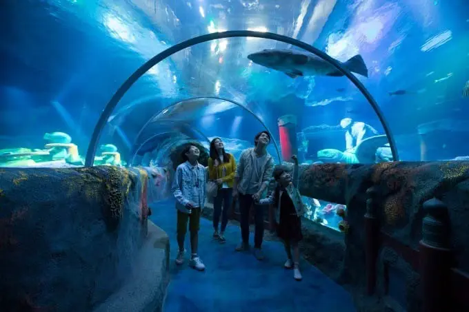 日本名古屋「LEGOLAND® JAPAN」