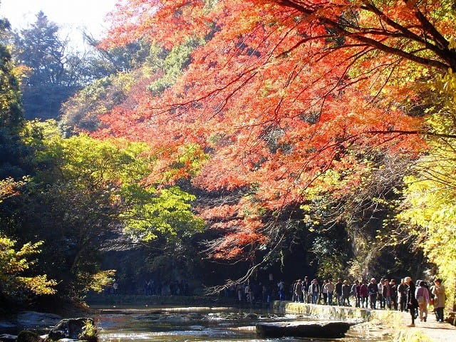 養老渓谷