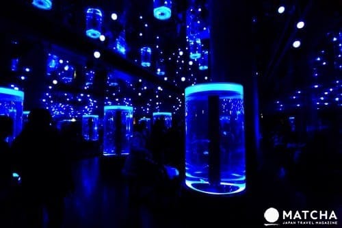 品川水族館