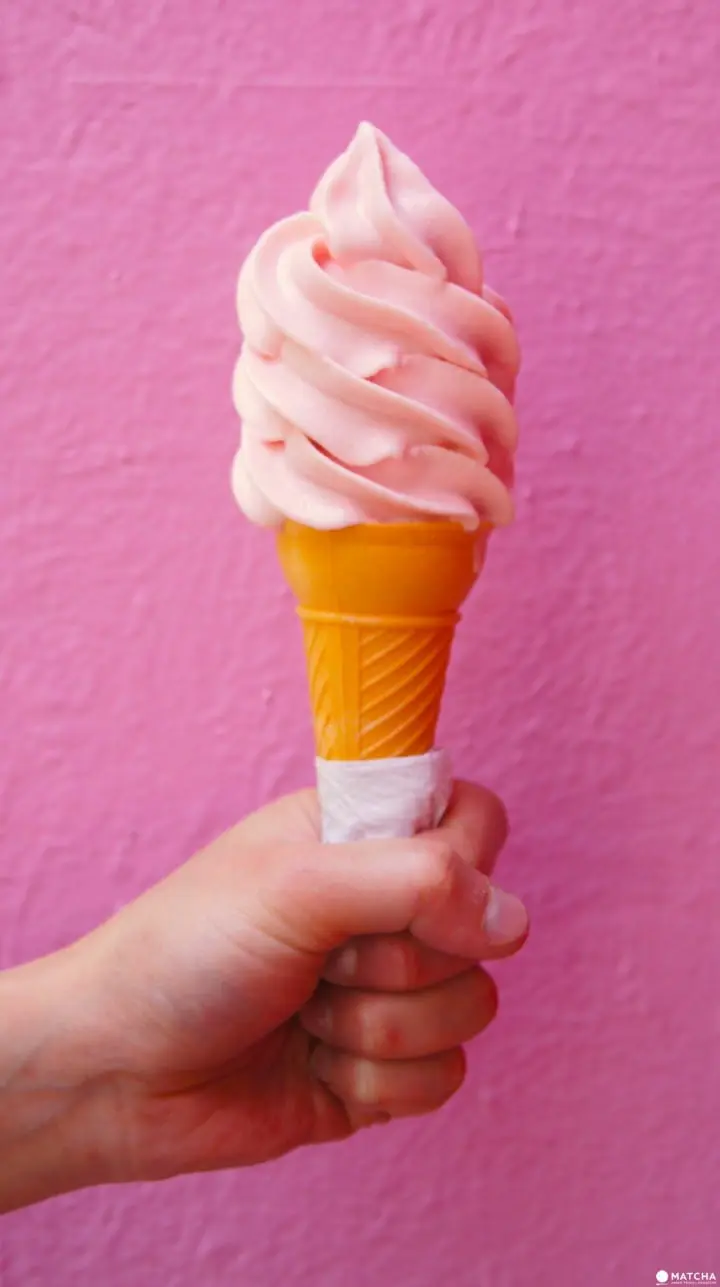 "NO SAKE NO LIFE" ~ HANAMI : Kampai Festival CDMX 2018