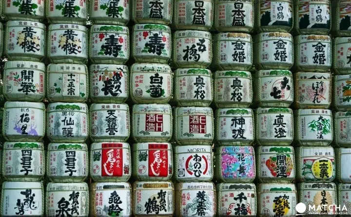 "NO SAKE NO LIFE" ~ HANAMI : Kampai Festival CDMX 2018