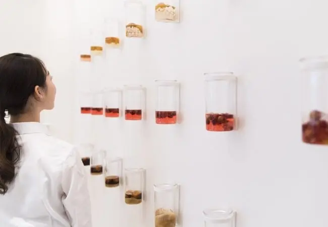 京都Choya梅飲料體驗