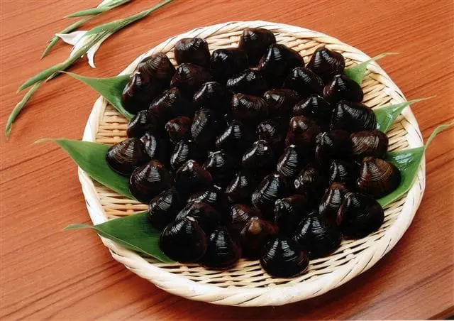 租車探尋美妙地！北海道留萌巿