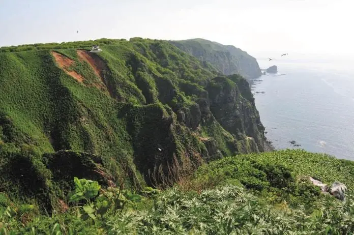 租車探尋美妙地！北海道留萌巿