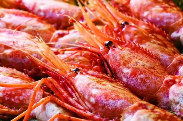 租車探尋美妙地！北海道留萌巿