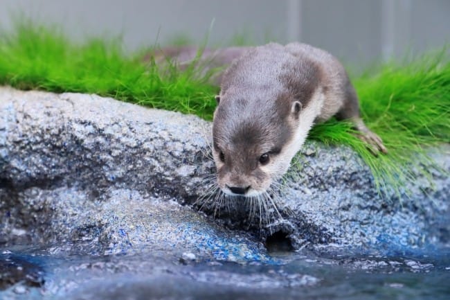 太陽城水族館