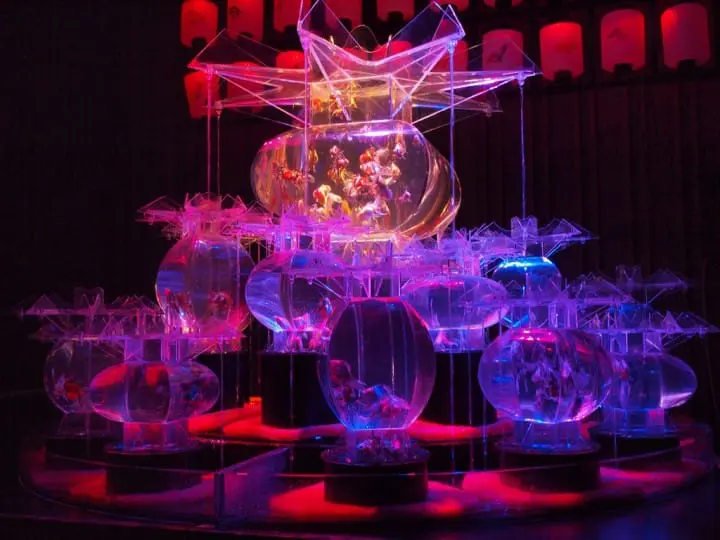 ECO EDO日本橋藝術水族館