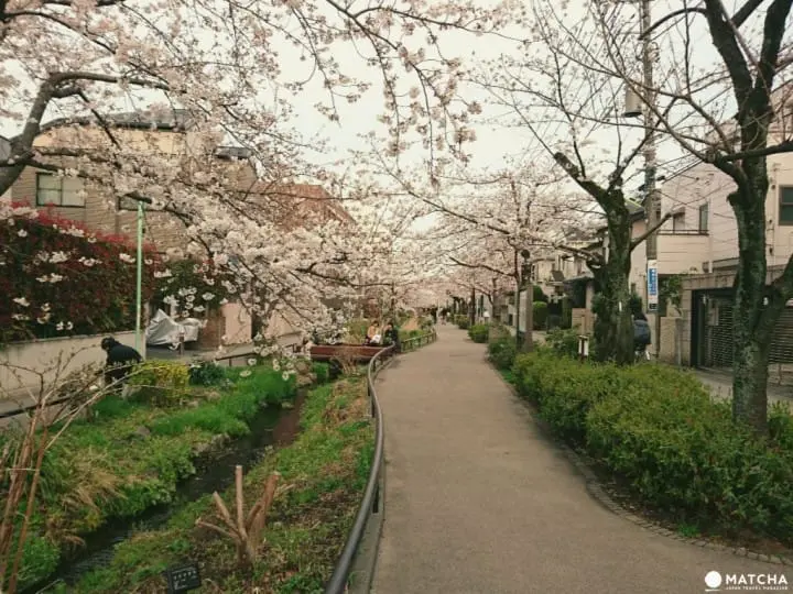不逛古著、不買雜貨！給吃貨的下北澤指南