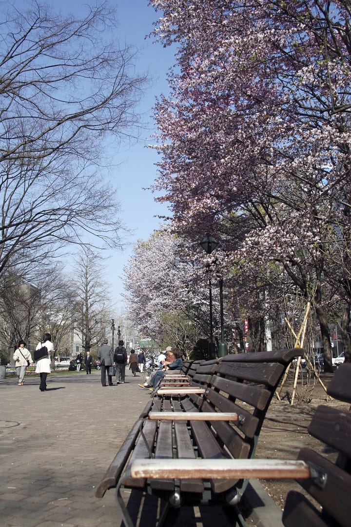 大通公園