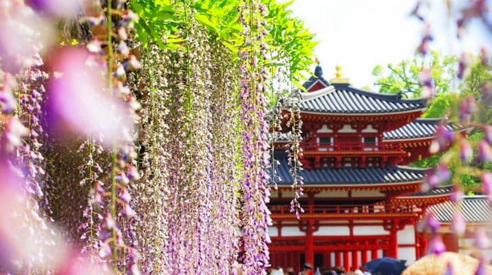 Byodoin Temple's Phoenix Hall