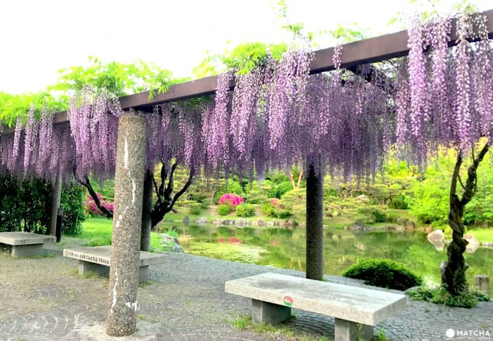 Kyoto City KYOCERA Museum of Art