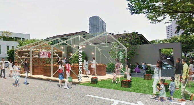 Starbucks coffee 草莓溫室快閃店