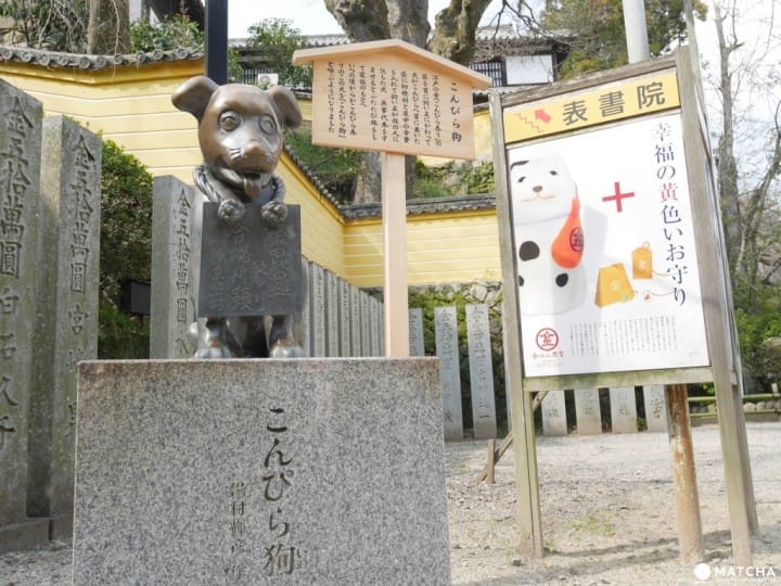 金刀比羅犬