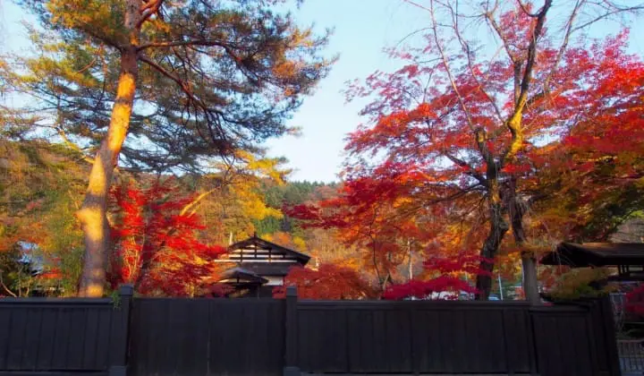 來到秋田角館,一日享盡自然人文的洗禮