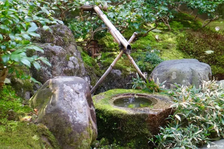 専門誌でランクインした通好みの日本庭園！京都御所のお隣・京都平安ホテルの庭を訪ねて