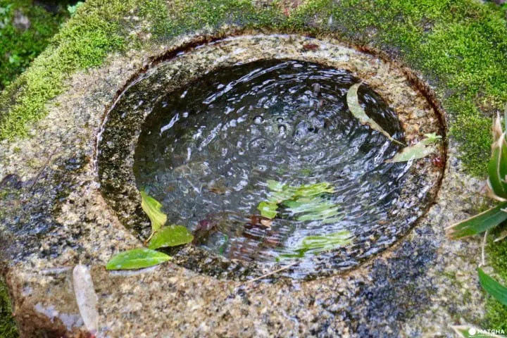 専門誌でランクインした通好みの日本庭園！京都御所のお隣・京都平安ホテルの庭を訪ねて