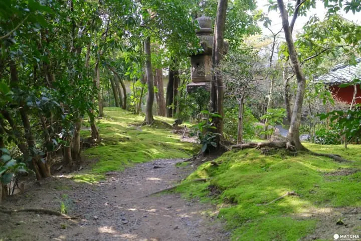 専門誌でランクインした通好みの日本庭園！京都御所のお隣・京都平安ホテルの庭を訪ねて