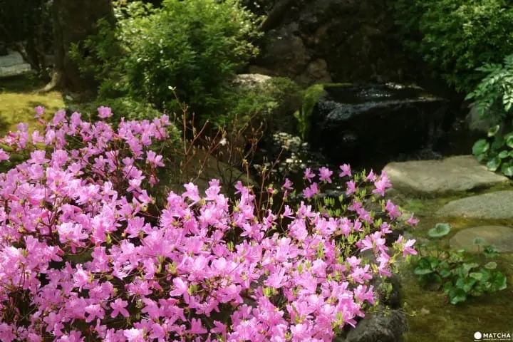 専門誌でランクインした通好みの日本庭園！京都御所のお隣・京都平安ホテルの庭を訪ねて