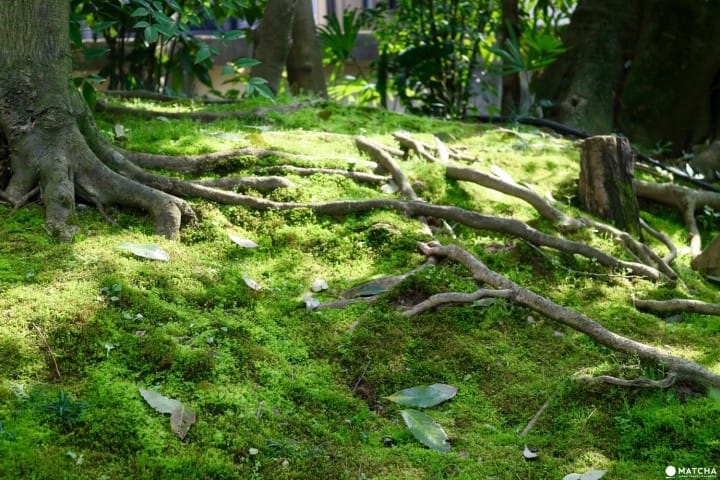専門誌でランクインした通好みの日本庭園!京都御所のお隣・京都平安ホテルの庭を訪ねて
