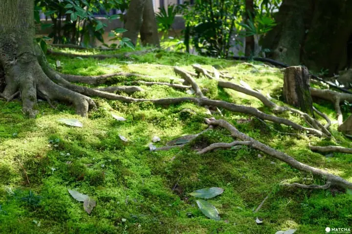 専門誌でランクインした通好みの日本庭園！京都御所のお隣・京都平安ホテルの庭を訪ねて