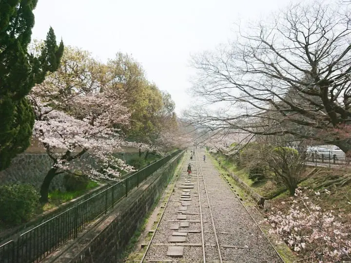 【京都】Blue Bottle Coffee登陸關西第一店及周邊散策路線