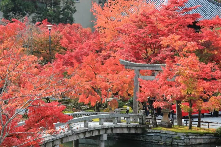 【京都】Blue Bottle Coffee登陸關西第一店及周邊散策路線