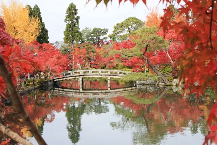 【京都】Blue Bottle Coffee登陸關西第一店及周邊散策路線