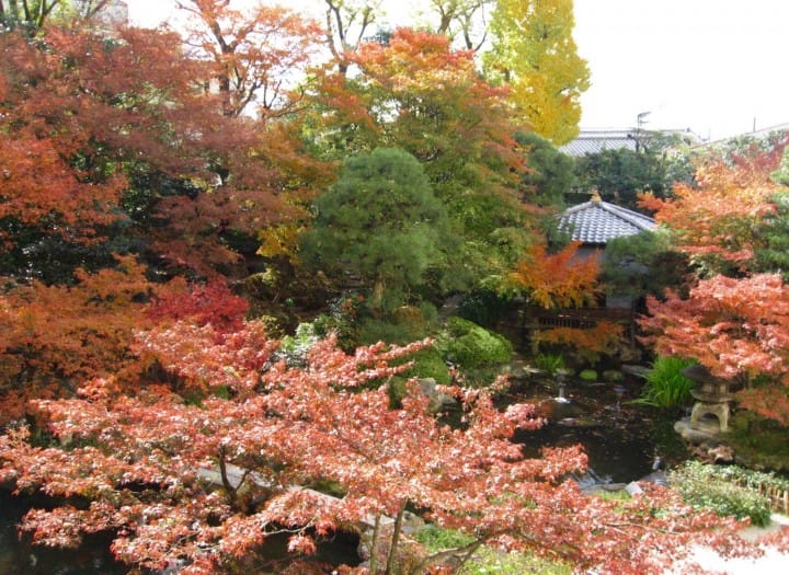 米専門誌でランクインした通好みの日本庭園!京都御所のお隣・京都平安ホテルの庭を訪ねて