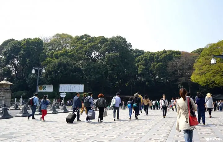 Yoyogi Park in Spring