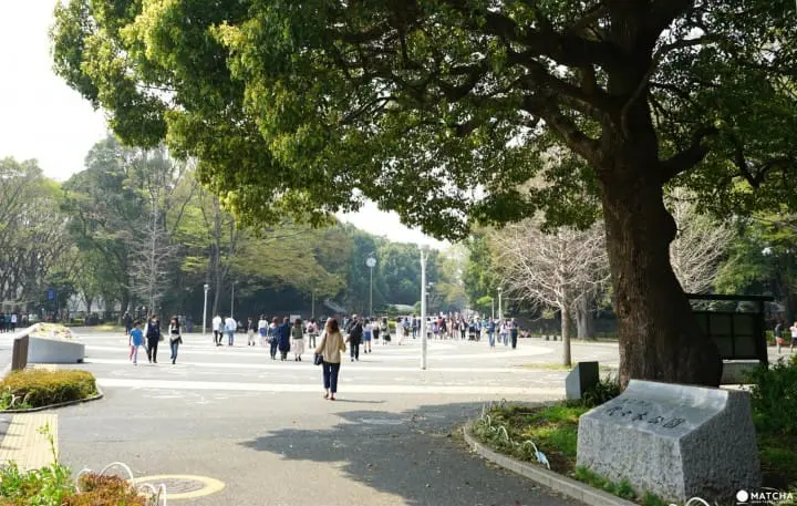 Yoyogi Park in Spring