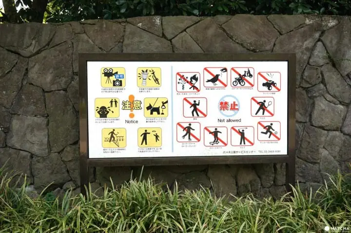 Yoyogi Park in Spring