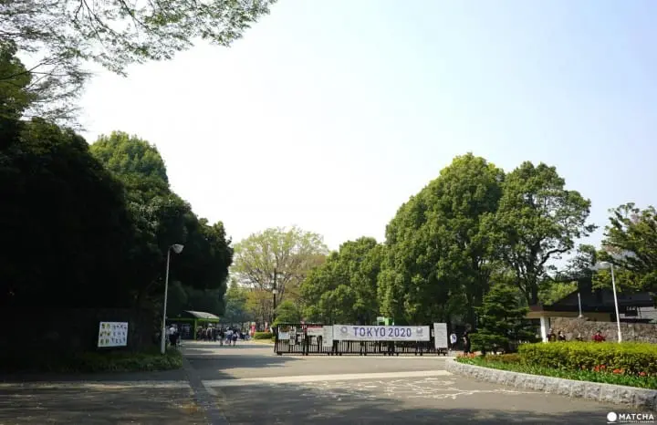 Yoyogi Park in Spring