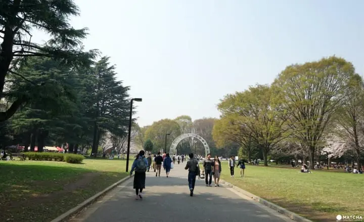 Yoyogi Park in Spring