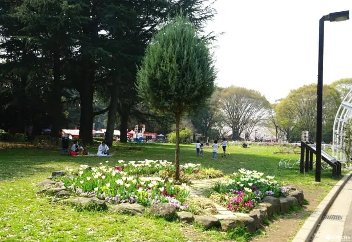 Yoyogi Park in Spring