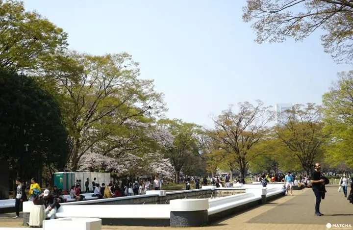 Yoyogi Park in Spring
