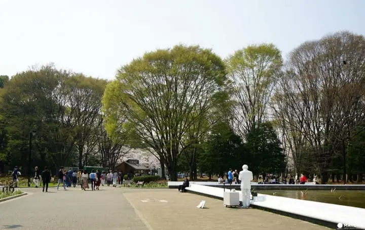 Yoyogi Park in Spring