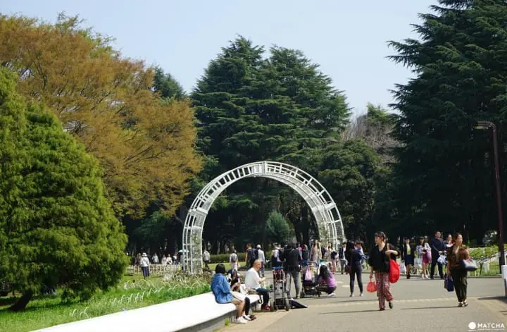 Yoyogi Park - A Walk Beneath The Cherry Blossoms In Tokyo's Green Oasis