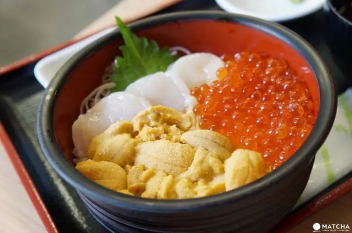 積丹半島夏季海膽