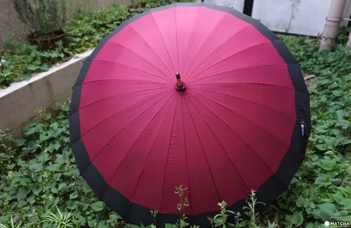 5 Affordable Cherry Blossom Printed Souvenirs You Can Find In Japan