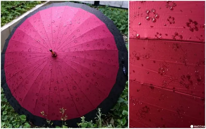 5 Affordable Cherry Blossom Printed Souvenirs You Can Find In Japan