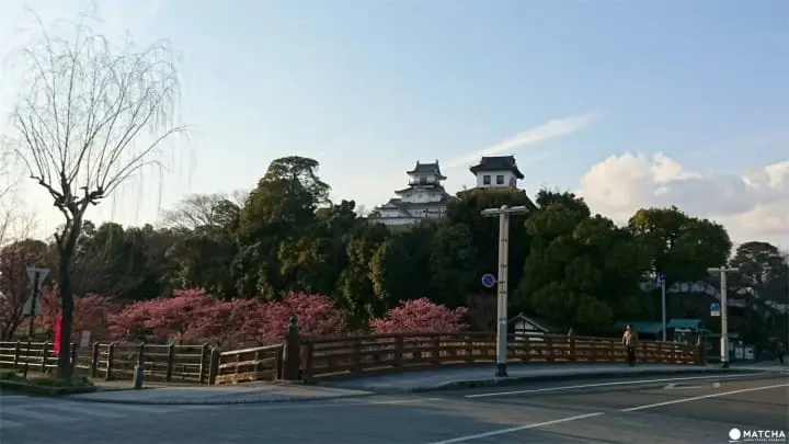 Shizuoka Prefecture - 9 Must Visit Spots In This Nature Rich Tokyo Neighbor!