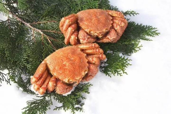 Morning To Night In Sapporo - A Northern Paradise And Urban Hub